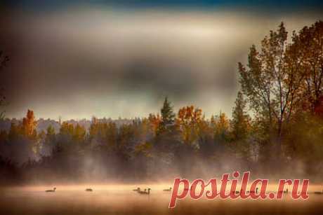 La vie est belle. by Andre Villeneuve / 500px