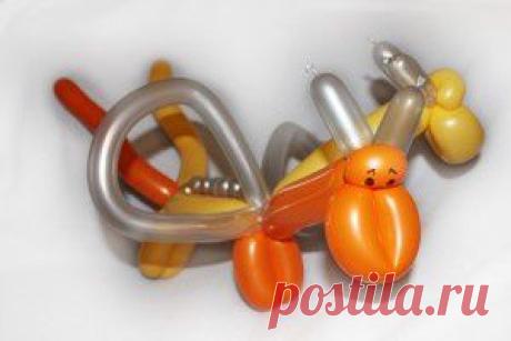 Pinterest: Discover and save creative ideas