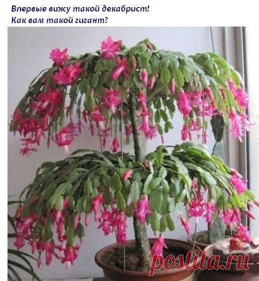 Ничего себе!