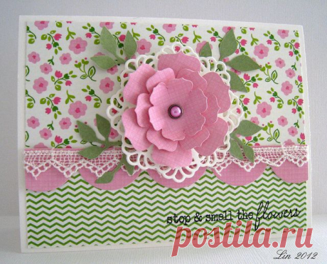 Процветает Timeless вторник # 160 Lace и раковины на ... | SSCards