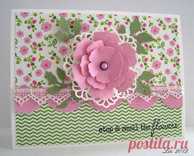 Процветает Timeless вторник # 160 Lace и раковины на ... | SSCards