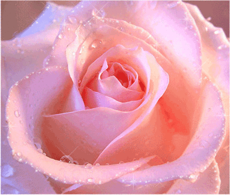 image_56071112155404806586.gif (413×350)
