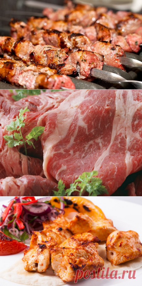 Застолье: Где найти лучший шашлык