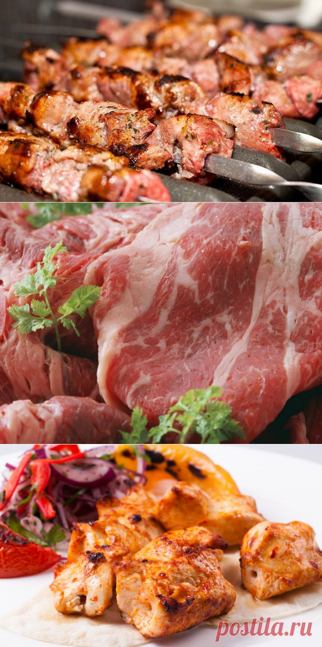 Застолье: Где найти лучший шашлык