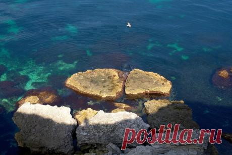 (50) Одноклассники