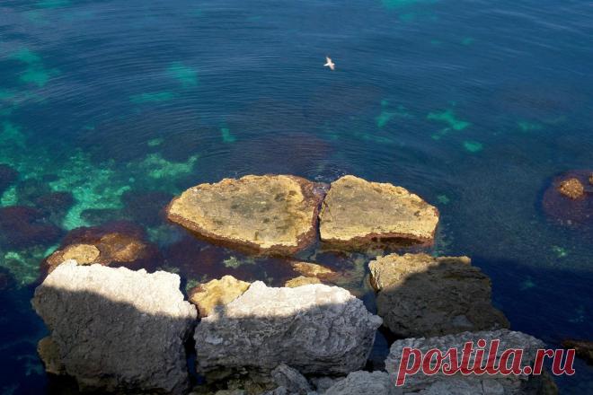 (50) Одноклассники