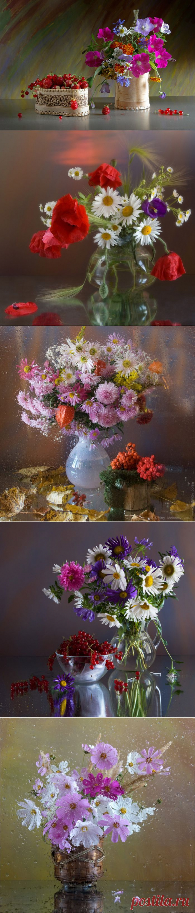 Букеты от фотографа Дмитрия Мелентьева | Мой мир в фотографиях