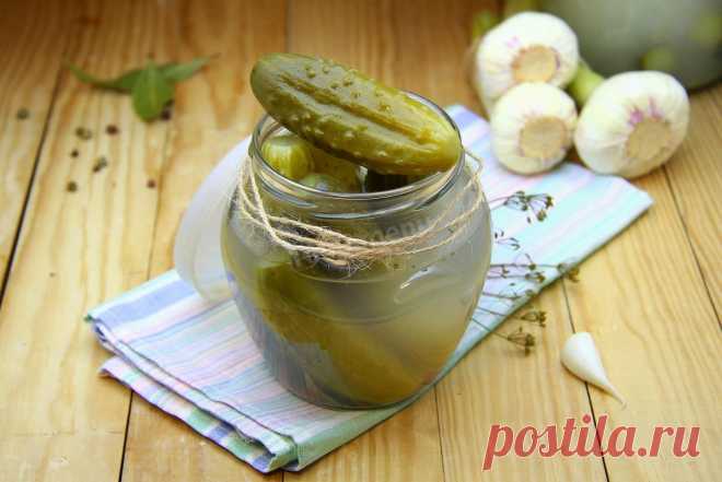Соленые огурцы под капроновой крышкой на зиму рецепт с фото пошагово - 1000.menu