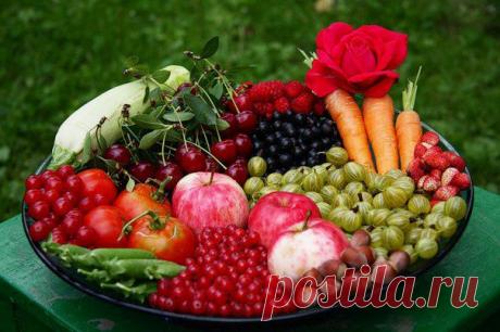 Наши ягоды и фрукты ..никакие санкции нам не страшны !