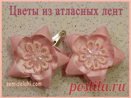 Цветы M.K..