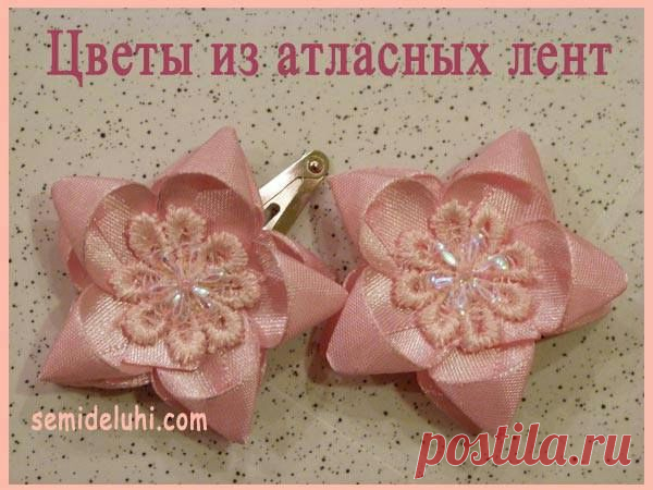 Цветы M.K..