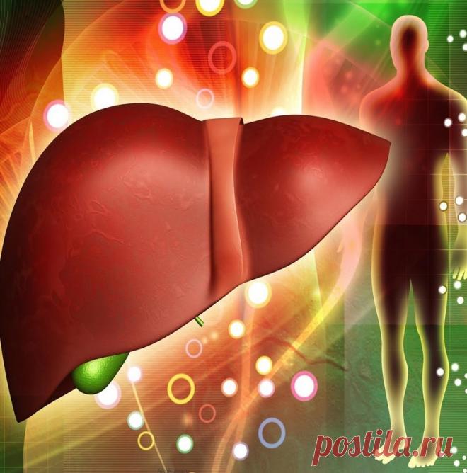 Упражнения для спасения печени Трудно переоценить роль печени в работе организма. Это — фильтр, очищающий кровь и удаляющий токсичные вещества. Неправильный образ жизни (порочное питание, употребление алкоголя, отсутствие двигательной активности) пагубно отражается на функциях печени. Вот упражнения, которые восстанавливают важный орган.