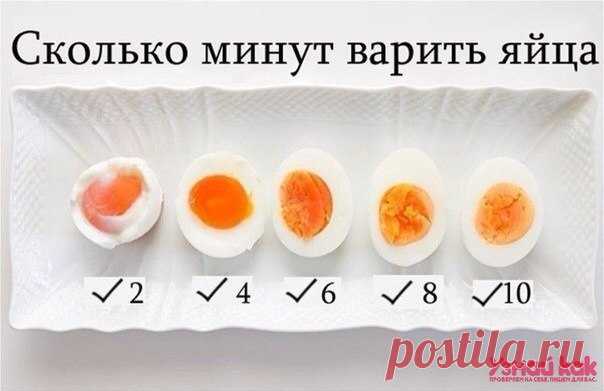 Узнай как. Полезные советы. Инструкции. | ВКонтакте