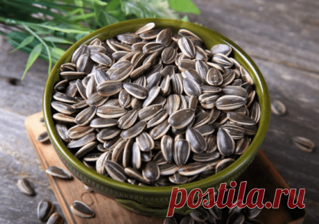 Замедление процесса старения и другая польза семян подсолнечника — ХОЗЯЮШКА24
