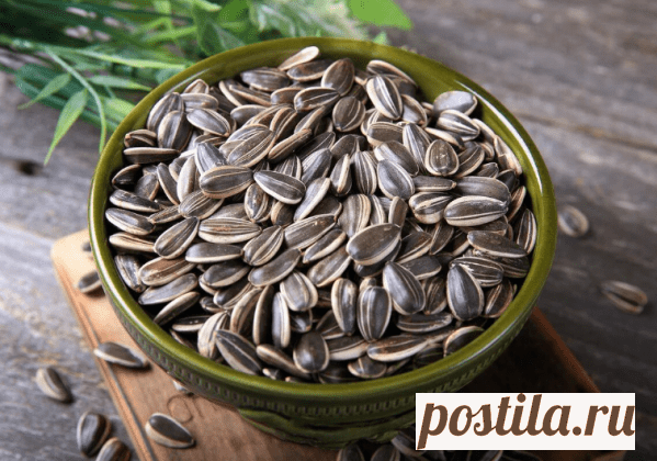 Замедление процесса старения и другая польза семян подсолнечника — ХОЗЯЮШКА24