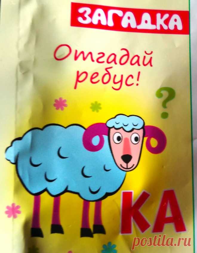 Купила в магазине 