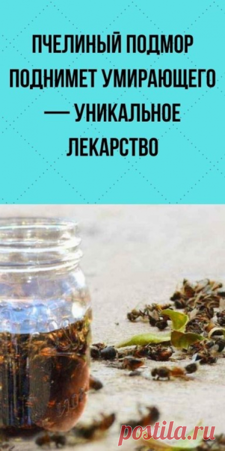 Как применять пчелиный подмор? | OK.RU