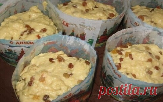 Совершенно потрясающие куличи! Сладкие, нежные, мягкие... 
Рецепт бабушкин, готовит она по этому рецепту уже  десятков лет.
С порции получается очень много куличей, смело делите количество на 2, 3, 4... 
 1 л. топленого молока;
1 кг. сахара;
500 гр. слив. масла;
10 яиц;
3 желтка;
150 гр. свежих дрожжей.
Яйца слегка взбить, масло порезать кусочками, смешать все продукты с теплым молоком и оставить в теплом месте на 8-12 часов (смело оставляйте на ночь).
Затем всыпать: 
1 ч.л. соли;
200 гр.