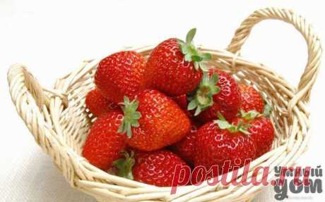 УДОБРЕНИЯ ДЛЯ КЛУБНИКИ ИЗ ХЛЕБА, ИЗ СЫВОРОТКИ, ИЗ ПОМЕТА, ИЗ КРАПИВЫ. | Познавательный сайт ,,1000 мелочей&quot;