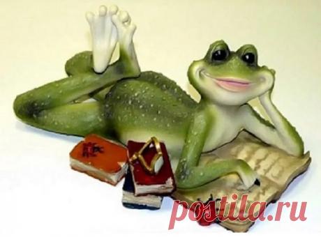 прикольные лягушки картинки: 19 тыс изображений найдено в Яндекс.Картинках