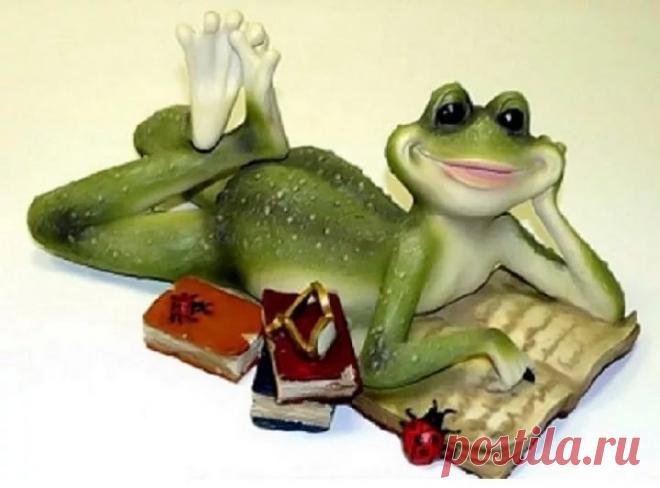 прикольные лягушки картинки: 19 тыс изображений найдено в Яндекс.Картинках