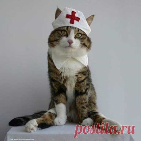 Без Кота И Жизнь Не Та | Facebook