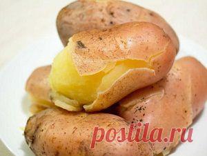 Полезные советы — Всегда в форме!