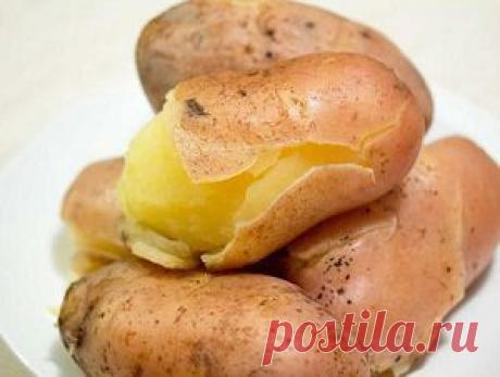 Полезные советы — Всегда в форме!