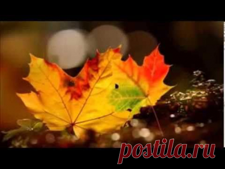 Осенние деньки (Е.Дога) - YouTube