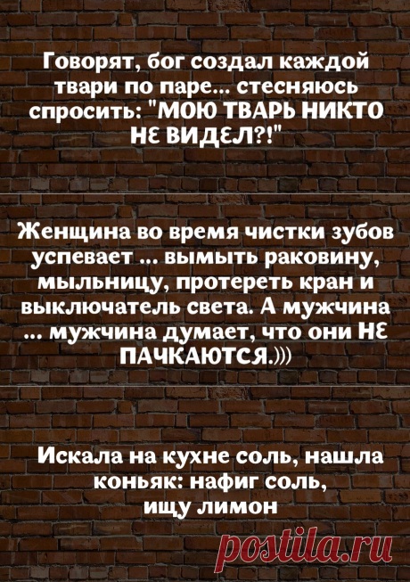 18 высказываний от мудрых женщин с юмором | Vimka.ru