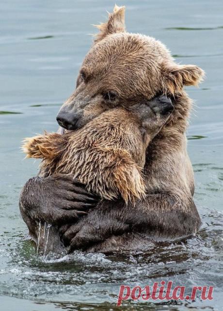 Pinterest