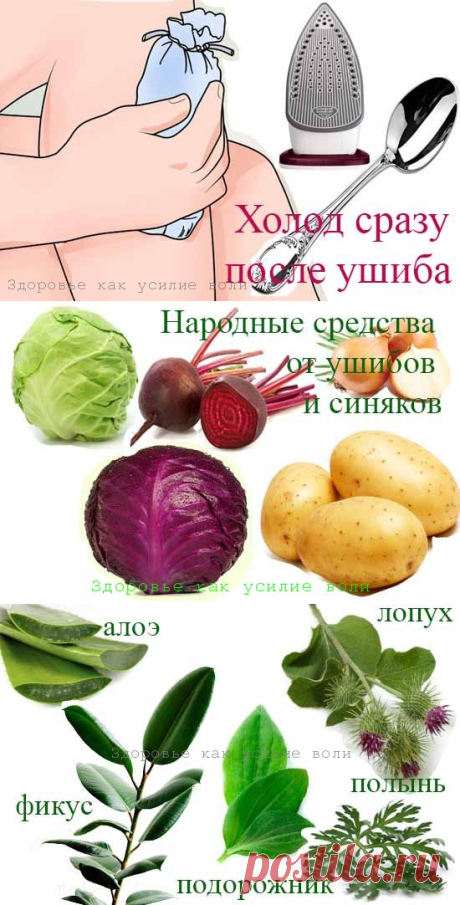 Лечение ушибов и синяков простыми народными средствами | Здоровье как усилие воли