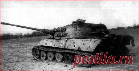 О важности образования. Даже на войне. Вспоминает Николай Шишкин | Чёрт побери В 1939 году я с отличием закончил десятилетку в казахстанском городе Петропавловск и подал документы в три института: Московский авиастроительный, архитектурный и Свердловский политехнический. Поступив во все три (отличников принимали без экзаменов), я решил пойти учиться в Свердловский политехнический на металлургический факультет.......В июне нас перебросили в Белоруссию. Полк наш действовал в...