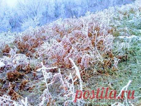 Фрактальная геометрия природы