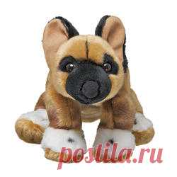 African Wild Dog | Species | WWF