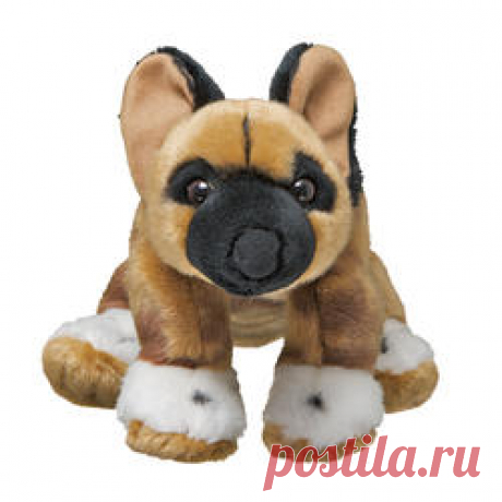 African Wild Dog | Species | WWF