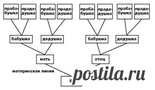 shema.png (316×184)