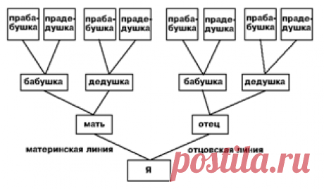 shema.png (316×184)