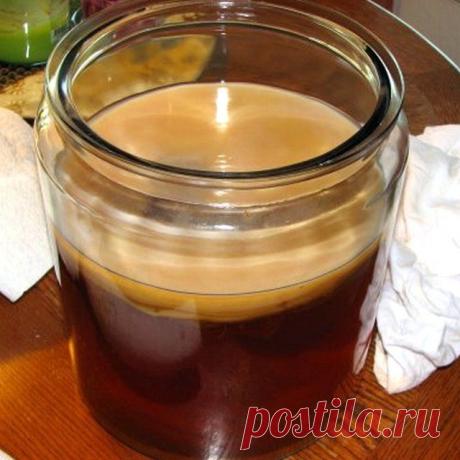 Применение чайного гриба | Мир женских советов