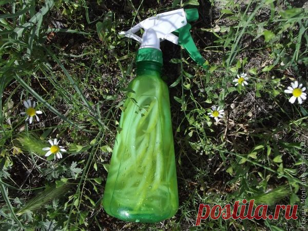 Цитрусовый спрей ароматизатор воздуха