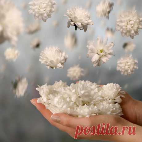 КАКОЙ СЕГОДНЯ ПРАЗДНИК? 19 Мая 2016 г. – Четверг • День рождения Кубика Рубика 42 года • День рождения пионерской организации (День пионерии) 94 года • День парусов на горизонте • Международный День Борьбы с Гепатитом В 8 лет • День образования подразделений служебно-боевой подготовки МВД РФ 47 лет • День конной авиации • Именины у Дионисия, Михея