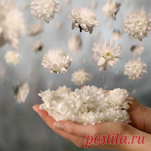 КАКОЙ СЕГОДНЯ ПРАЗДНИК? 19 Мая 2016 г. – Четверг • День рождения Кубика Рубика 42 года • День рождения пионерской организации (День пионерии) 94 года • День парусов на горизонте • Международный День Борьбы с Гепатитом В 8 лет • День образования подразделений служебно-боевой подготовки МВД РФ 47 лет • День конной авиации • Именины у Дионисия, Михея