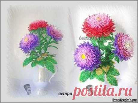 Астра. МК