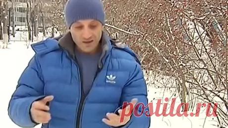 (6) Одноклассники