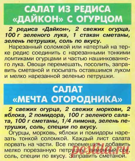 Салат из редиса &quot;Дайкон&quot; с огурцом. Салат &quot;Мечта огородника&quot;