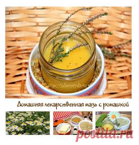 kitayskaya-mukooa.jpg (480×501)