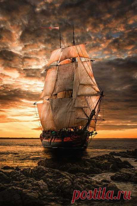 (38) Pinterest