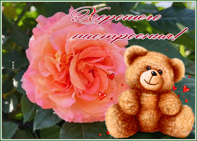 Открытка хорошего настроения с мишкой и розой