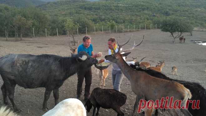 Индивидуальные туры по Крыму