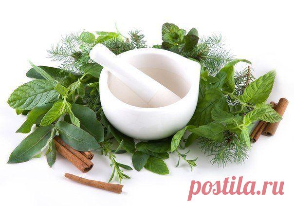 ЛЕКАРСТВА ДЛЯ РАСТИРАНИЙ.